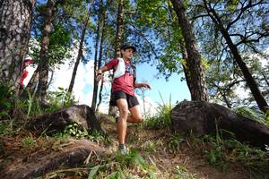 BIB: 
                            <button type="button" onclick="openModal(18888194)" class="btn btn-primary btn-sm float-right btn-popup" data-toggle="modal" data-target=".modal-high-quality">
                        <i class="fas fa-shopping-cart"></i> Add to Cart
                    </button>
                                            <button type="button" onclick="isThisMe(18888194, true)" class="btn btn-success btn-sm float-right btn-popup btn-isme hidden" data-toggle="tooltip" data-placement="bottom" title="นี่คือรูปของคุณใช่ไหม คลิกที่นี่เพื่อเอาเข้าอัลบั้ม">
                        <i class="fas fa-plus"></i> Add to album
                    </button>
                    <button type="button" onclick="isThisMe(18888194, false)" class="btn btn-warning btn-sm float-right btn-popup btn-isnotme hidden">
                        <i class="fas fa-ban"></i> Remove from album
                    </button>